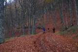 Clicca qui per vedere l'immagine in dettaglio